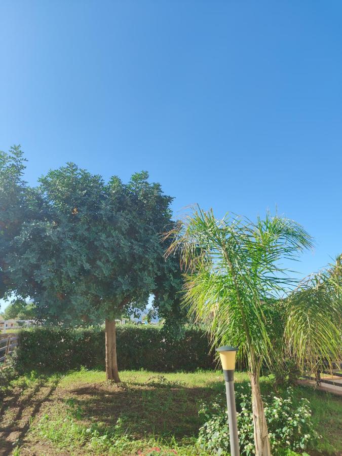 קוסטונאצ'י Villa Castiglione מראה חיצוני תמונה