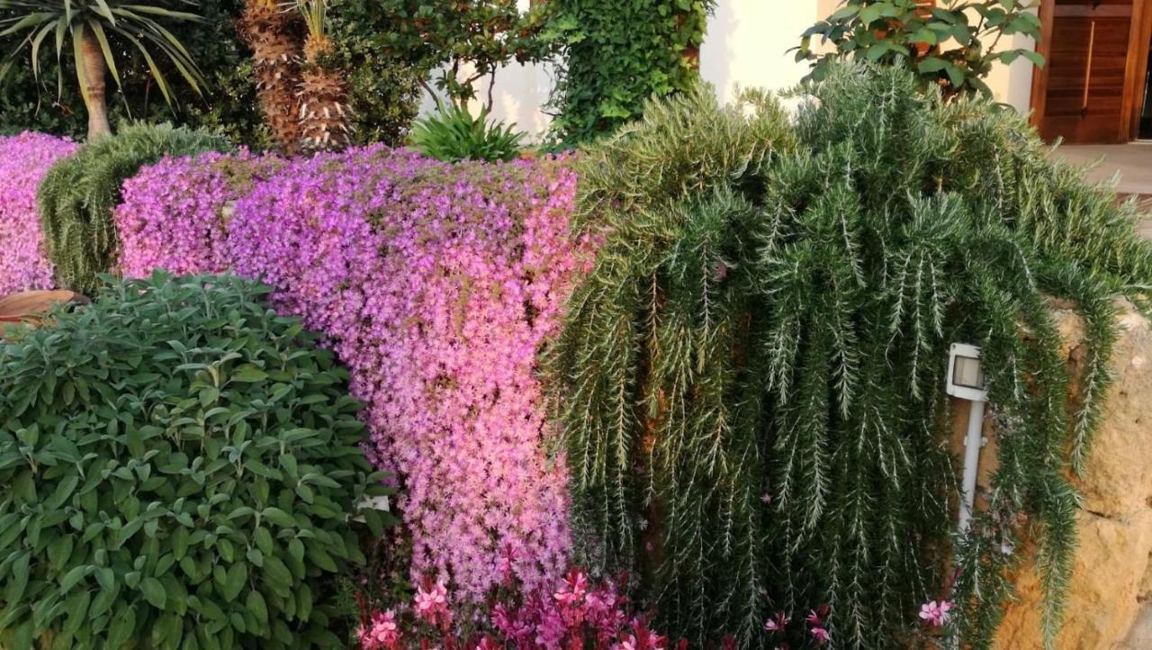 קוסטונאצ'י Villa Castiglione מראה חיצוני תמונה